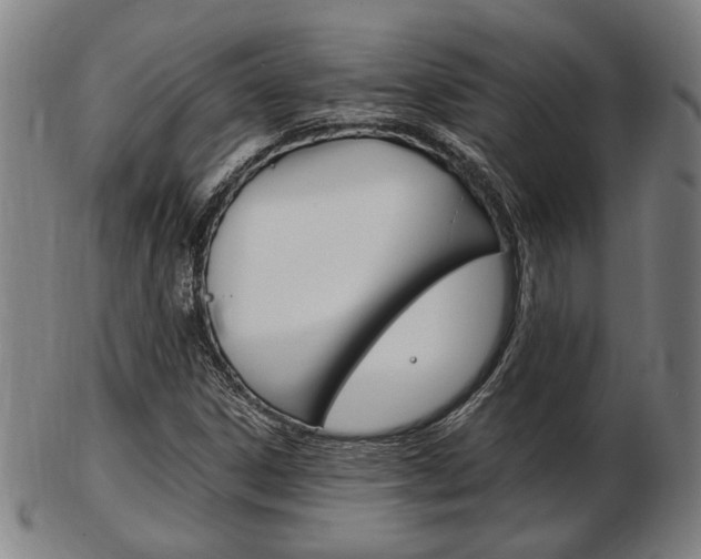 X0000103481306200809120919