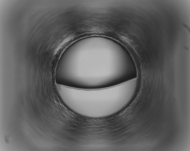 X0000103481307200809120919
