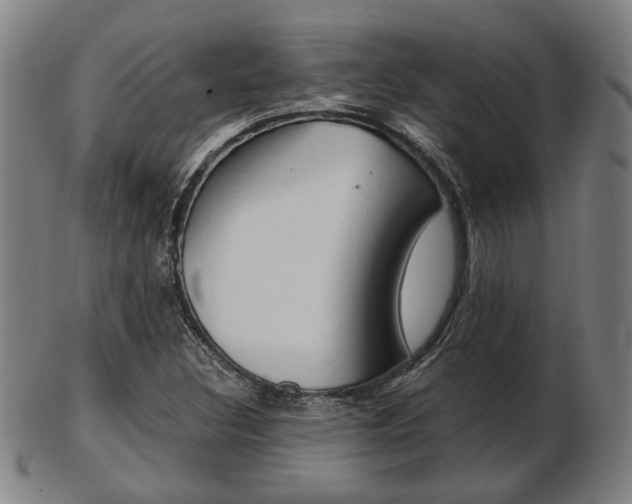 X0000103481308200809120919