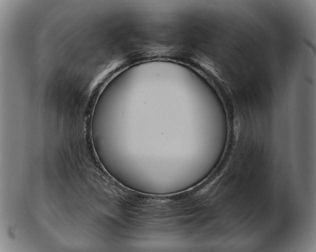 X0000103481309200809120919