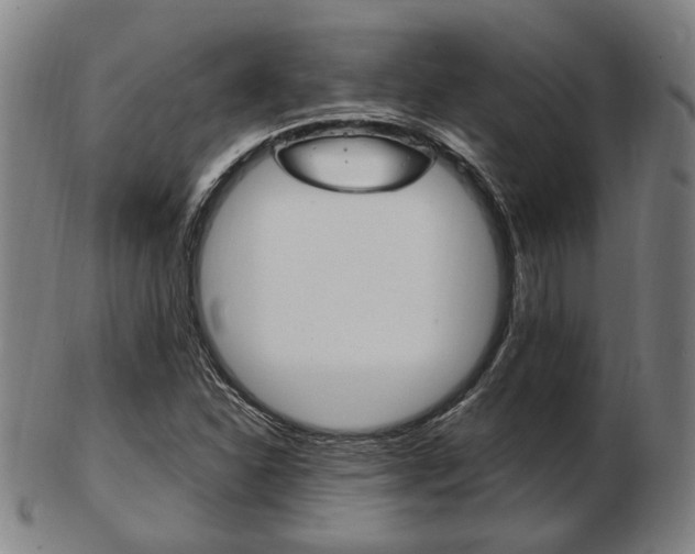 X0000103481310200809120919