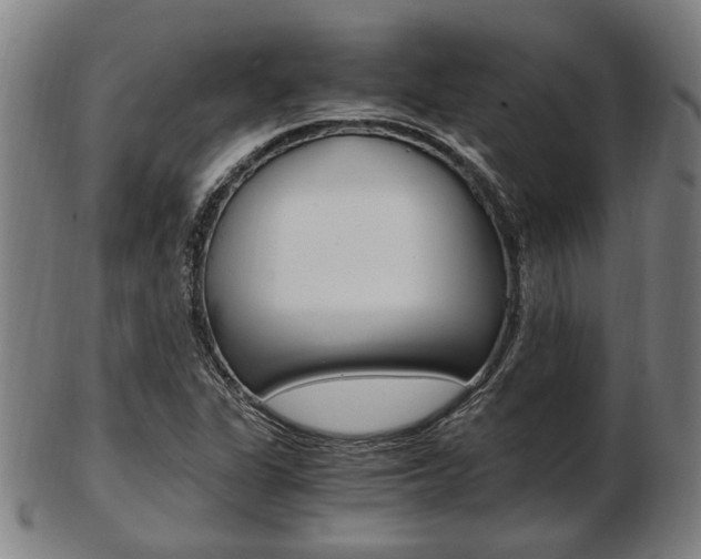 X0000103481311200809120919