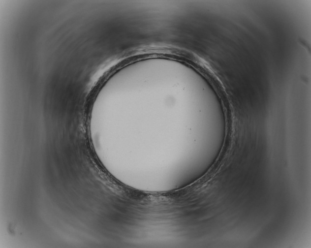 X0000103481312200809120919