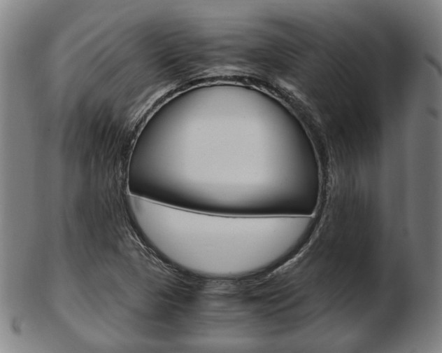 X0000103481313200809120919