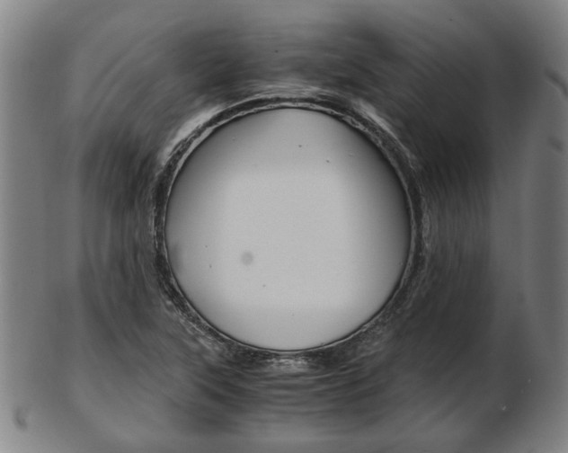 X0000103481315200809120919