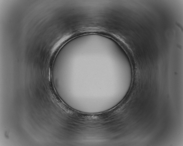 X0000103481317200809120919