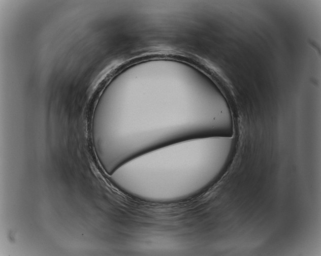 X0000103481318200809120919