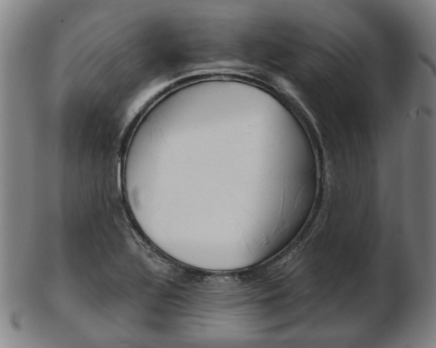 X0000103481320200809120919