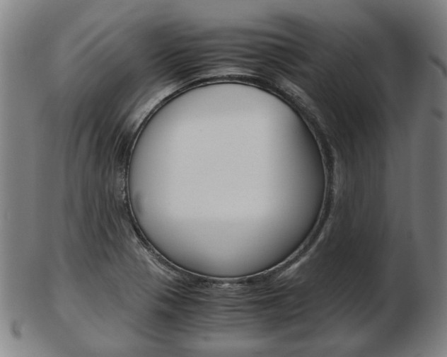 X0000103481321200809120919