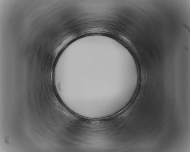 X0000103481322200809120919