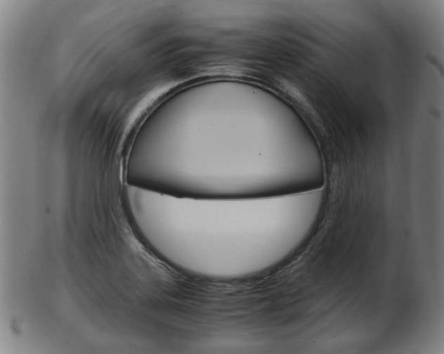 X0000103481323200809120919