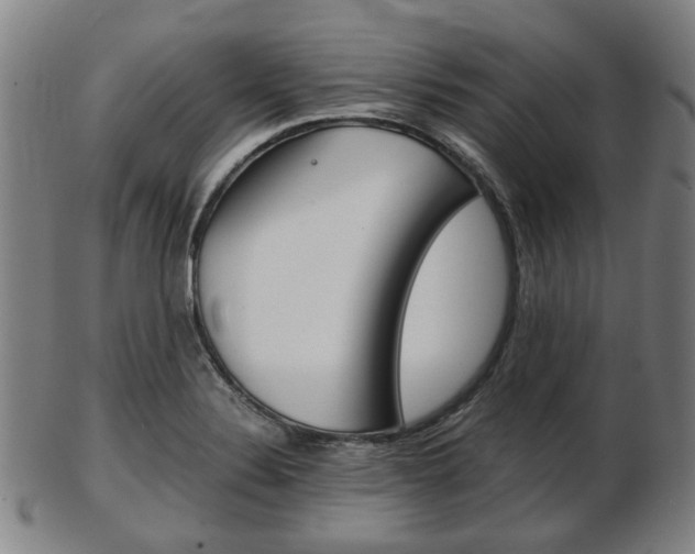 X0000103481324200809120919