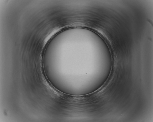 X0000103481325200809120919