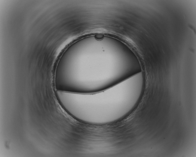 X0000103481326200809120919