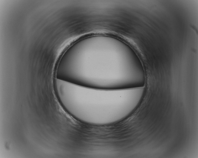 X0000103481327200809120919