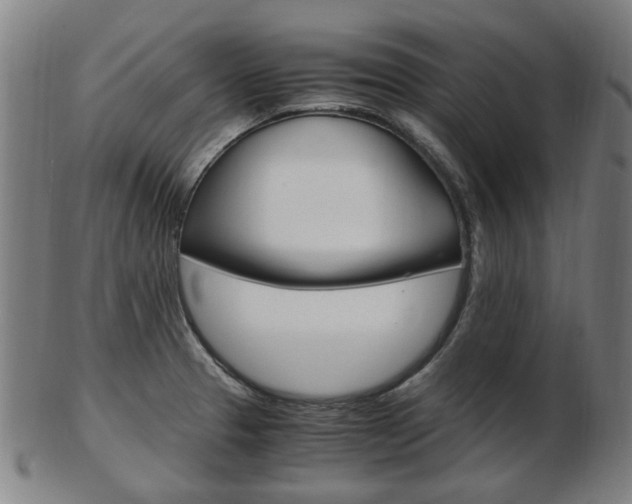 X0000103481329200809120919