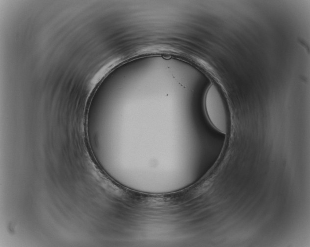 X0000103481330200809120919