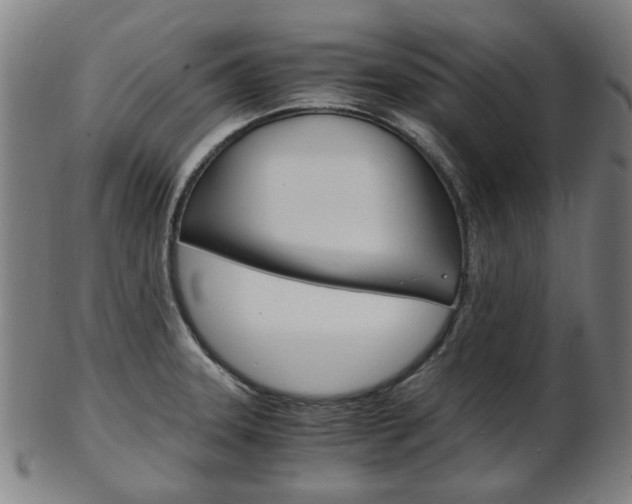 X0000103481331200809120920