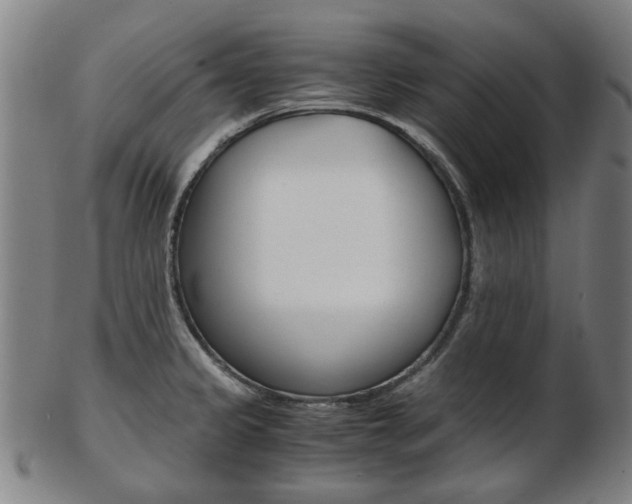X0000103481333200809120920
