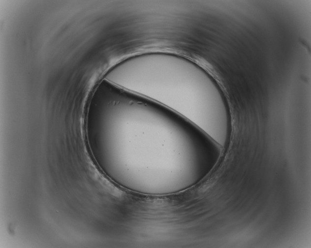 X0000103481334200809120920