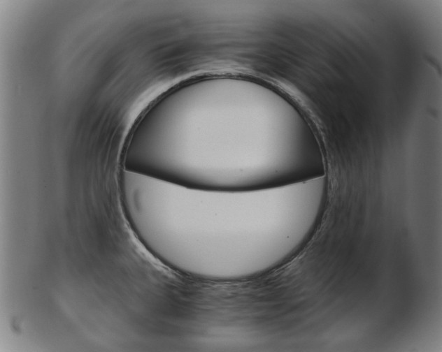 X0000103481335200809120920