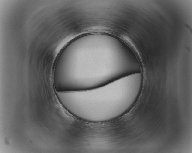 X0000103481336200809120920