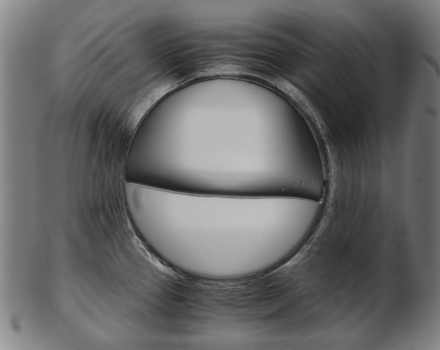 X0000103481337200809120920