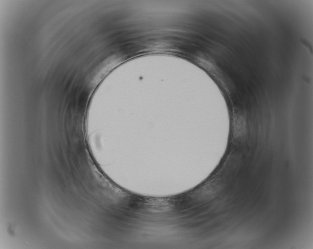 X0000103481338200809120920