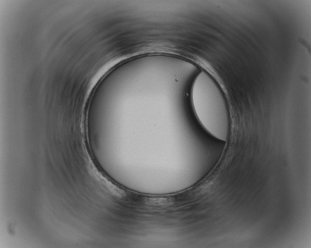 X0000103481339200809120920