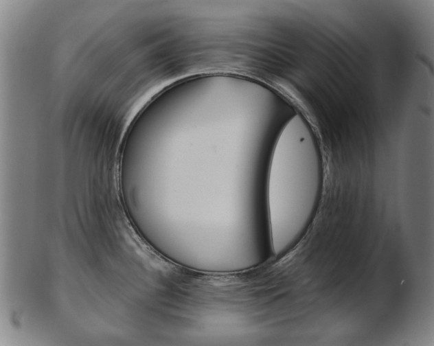 X0000103481340200809120920