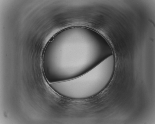 X0000103481342200809120920