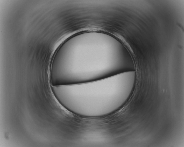 X0000103481343200809120920