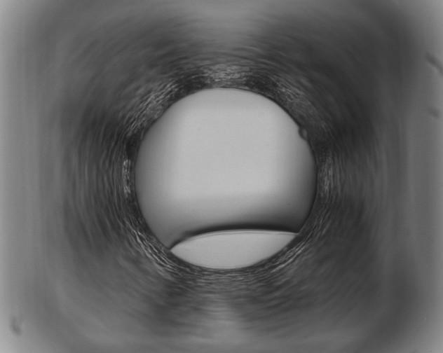 X0000103481346200809120919