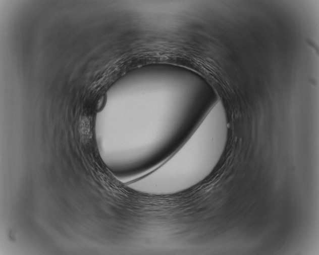 X0000103481347200809120919