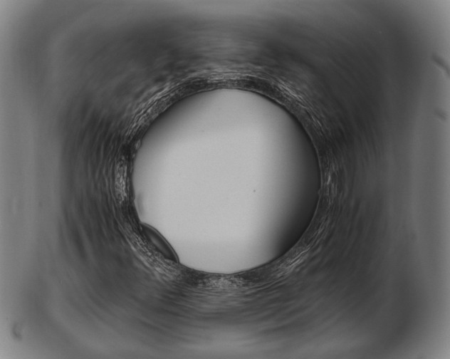 X0000103481348200809120919
