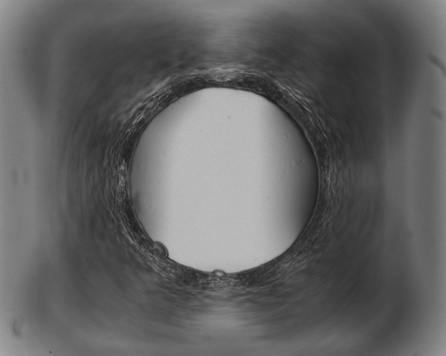 X0000103481349200809120919