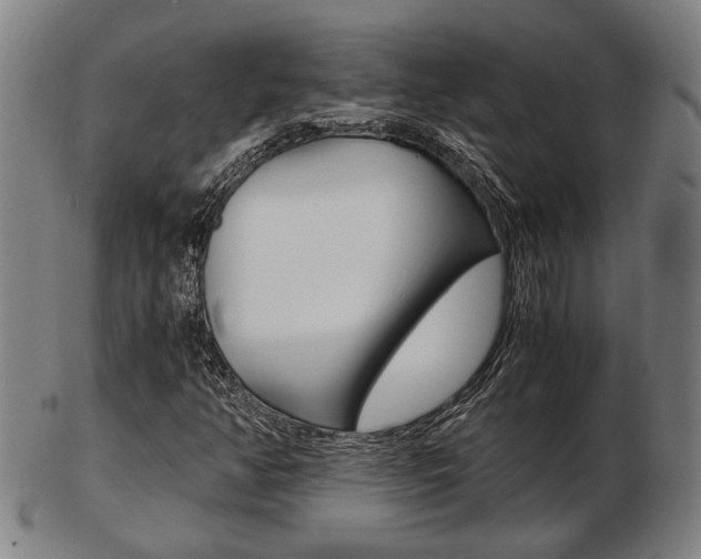 X0000103481350200809120919