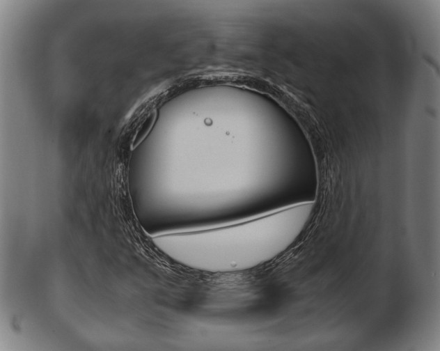 X0000103481351200809120919