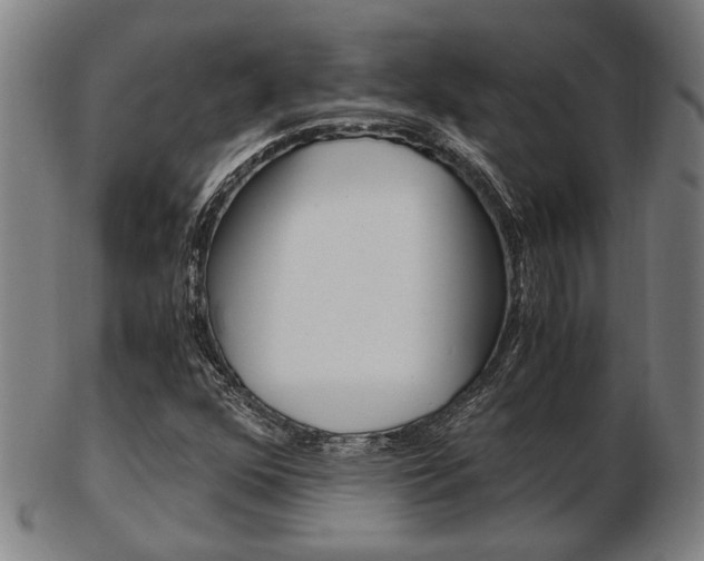 X0000103481352200809120919