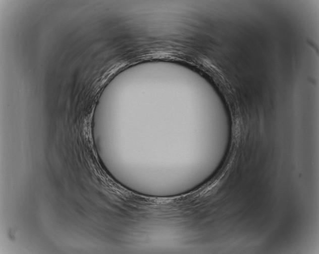 X0000103481353200809120919