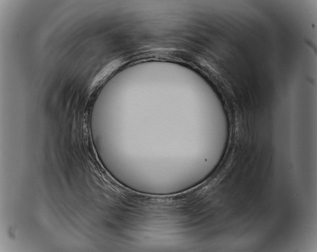 X0000103481354200809120919