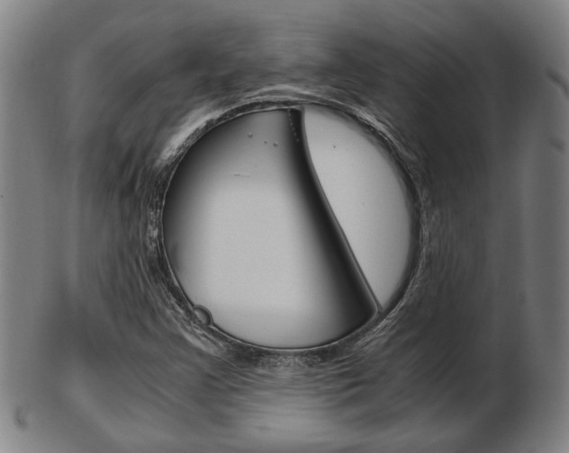 X0000103481355200809120919