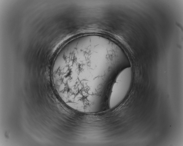 X0000103481356200809120919