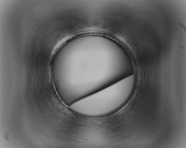 X0000103481358200809120919