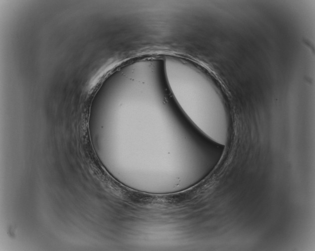 X0000103481359200809120919
