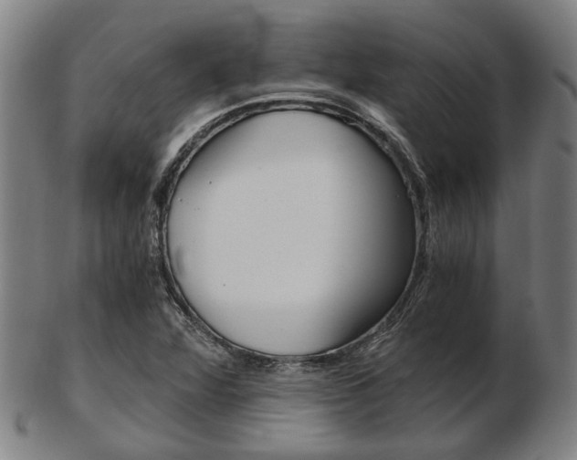 X0000103481360200809120919