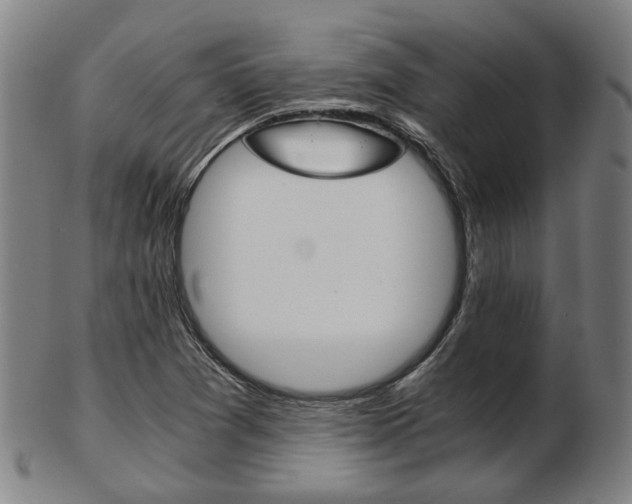 X0000103481361200809120919