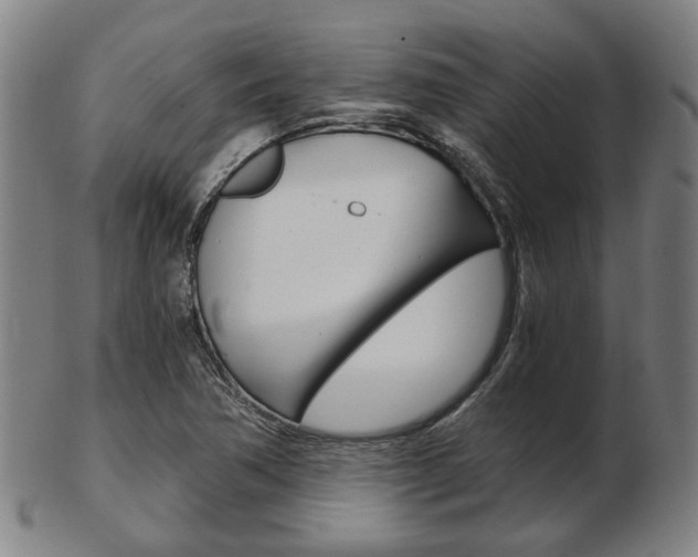 X0000103481362200809120919