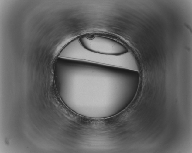 X0000103481363200809120919