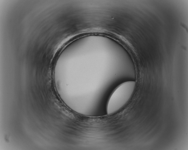 X0000103481364200809120919